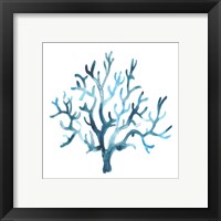 Framed 'Azure Seafan I' border=