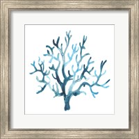 Framed 'Azure Seafan I' border=