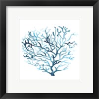 Framed 'Azure Seafan II' border=