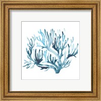 Framed 'Azure Seafan III' border=