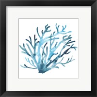 Framed 'Azure Seafan IV' border=