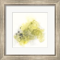 Framed 'Citron Cloud III' border=