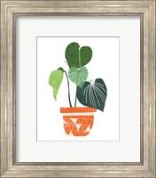 Framed 'Happy Plants II' border=