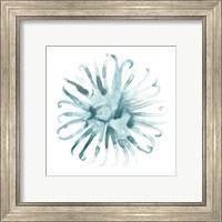 Framed 'Ocean Cameo II' border=