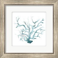 Framed 'Ocean Cameo III' border=