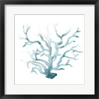 Ocean Cameo III Framed Print