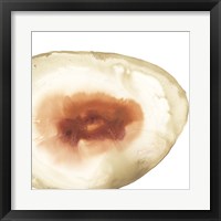 Framed 'Cropped Geodes IV' border=