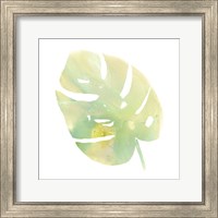 Framed 'Prisma Tropical I' border=