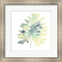 Framed 'Prisma Tropical VI' border=