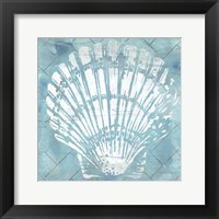 Framed 'Cerulean Shell I' border=