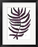 Foliage Fossil VI Framed Print