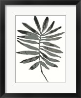 Framed Foliage Fossil VII