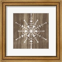 Framed 'Barnwood Wonderland II' border=