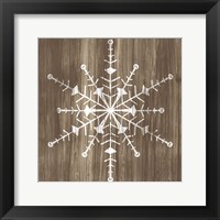 Barnwood Wonderland II Framed Print