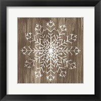 Barnwood Wonderland III Framed Print