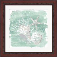 Framed 'Weathered Shell Assortment I' border=