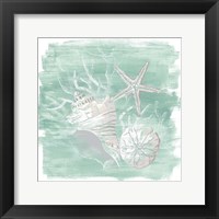 Weathered Shell Assortment I Framed Print