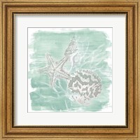 Framed 'Weathered Shell Assortment II' border=