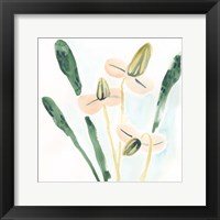 Garden Essence I Framed Print