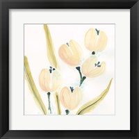 Garden Essence V Framed Print