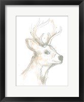 Deer Cameo IV Framed Print