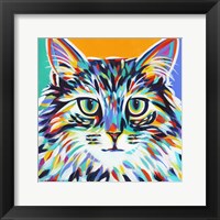 Dramatic Cats I Framed Print