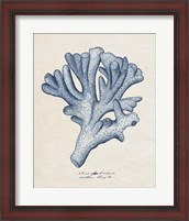 Framed 'Sea Coral Study I' border=