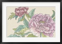 Peony Blooms I Framed Print