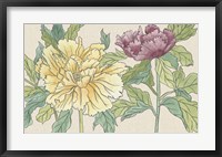 Peony Blooms II Framed Print