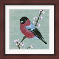 Framed 'Bird & Blossoms I' border=