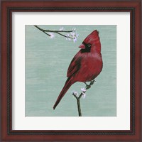 Framed 'Bird & Blossoms II' border=