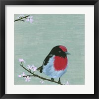 Framed 'Bird & Blossoms IV' border=