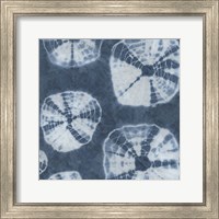 Framed 'Sea Cloth IV' border=