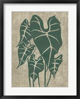 Vintage Greenery III Framed Print