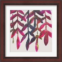 Framed 'Fuchsia Vine I' border=