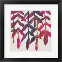 Fuchsia Vine I Framed Print