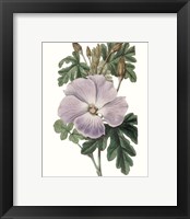 Framed 'Lavender Beauties I' border=