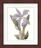 Framed 'Lavender Beauties IV' border=