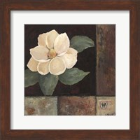 Framed Magnolia Breeze II