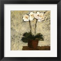 Orchid Textures I Framed Print