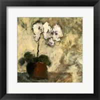 Orchid Textures II Framed Print