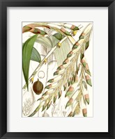 Framed Tropical Variety I