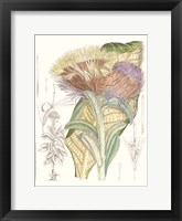 Tropical Variety IX Framed Print