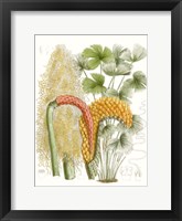 Palm Melange IV Framed Print