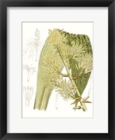 Framed Palm Melange VI