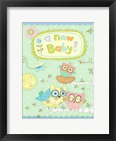 Framed Baby Owl II