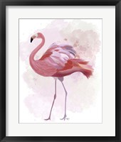 Fluffy Flamingo 1 Framed Print