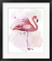 Fluffy Flamingo 2 Framed Print