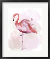 Fluffy Flamingo 4 Framed Print