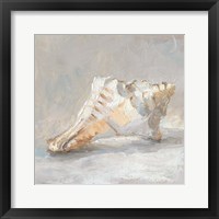 Impressionist Shell Study I Framed Print